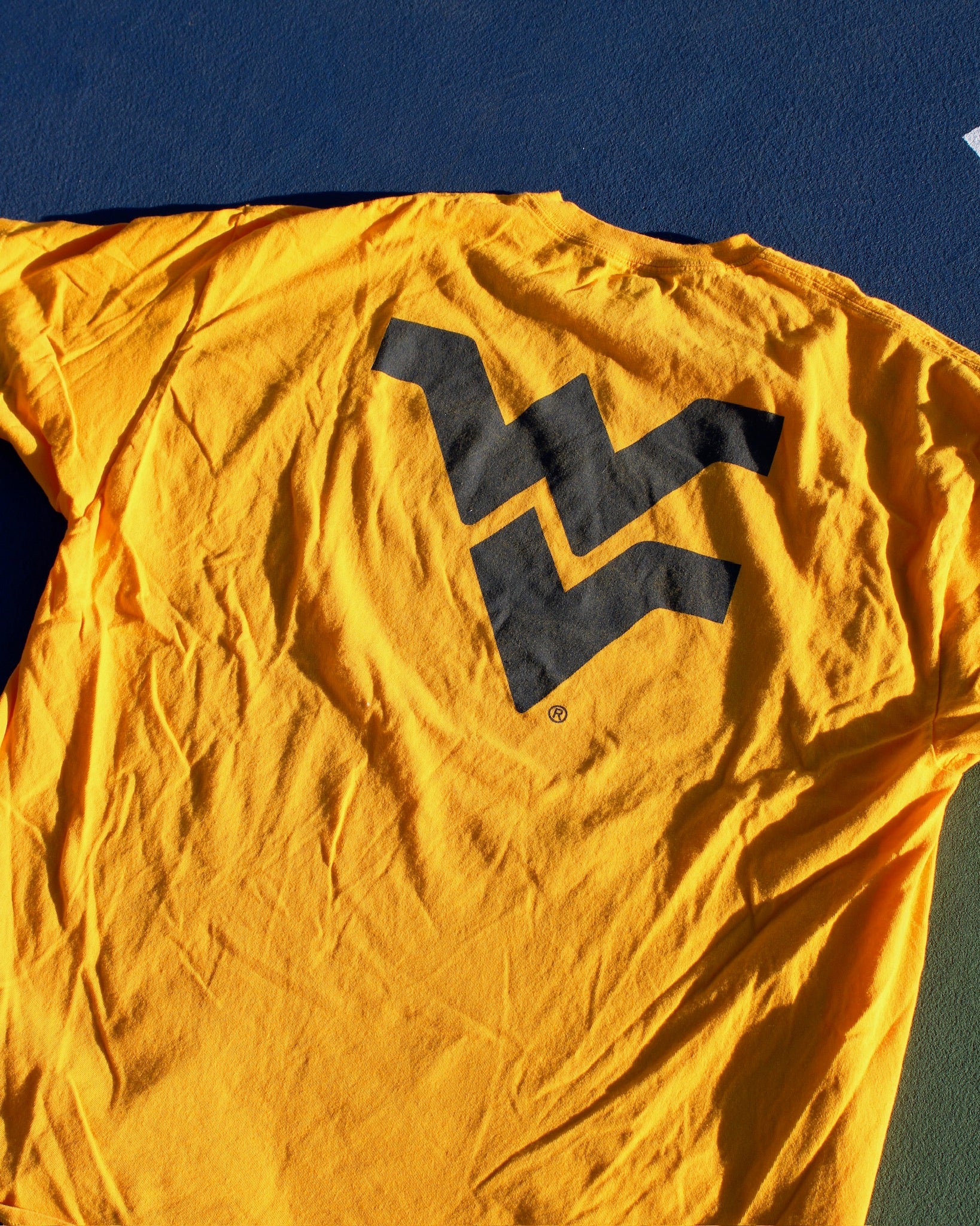 Evi11 Twin Vintage - West Virginia Tee - Image 3
