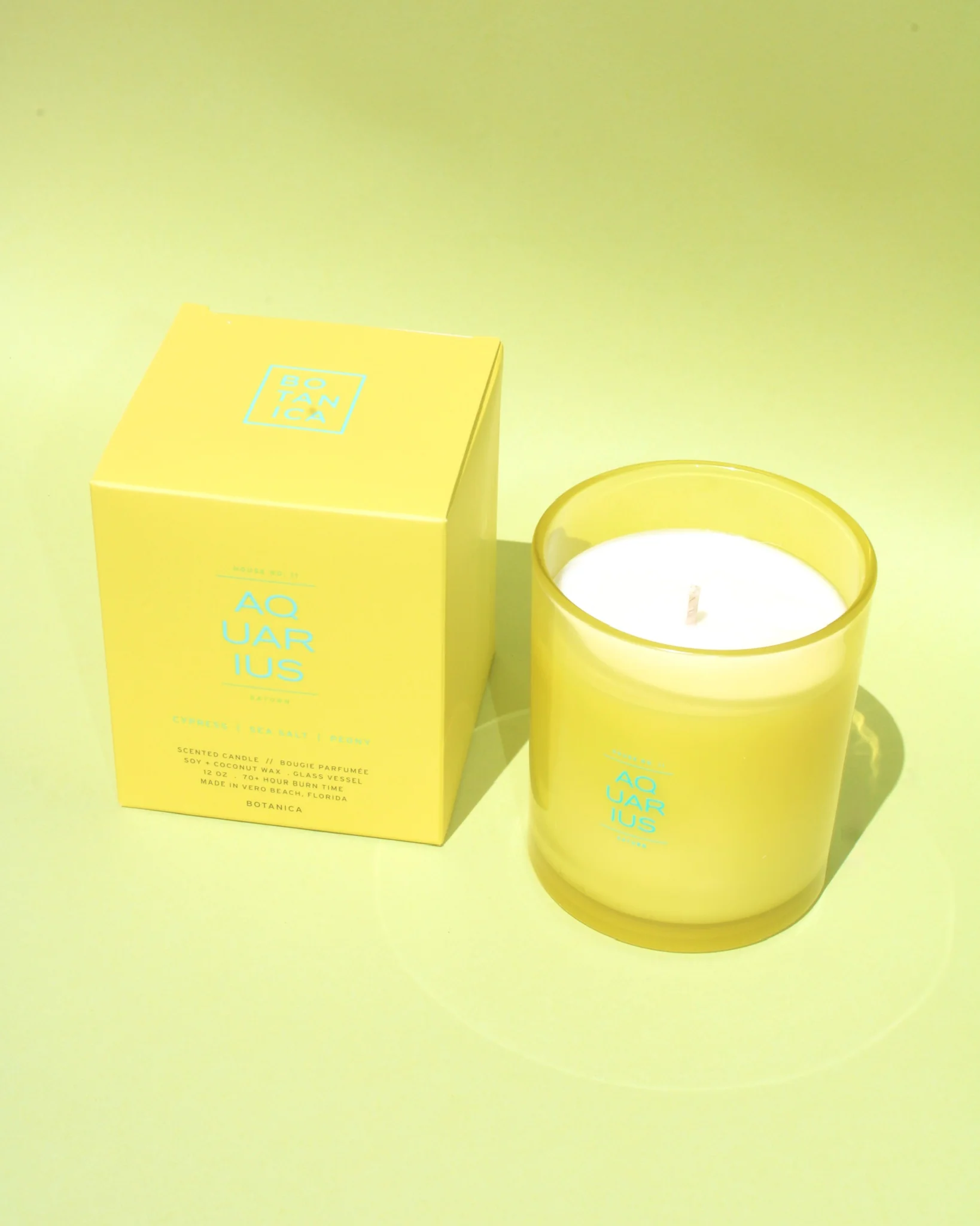 The Zodiac Candle // Aquarius